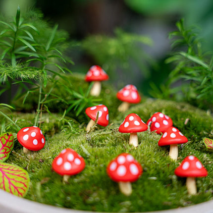 Toad Trail - Decorative Mini Mushrooms - Red - 10 Pcs - ↑ 2 Cm