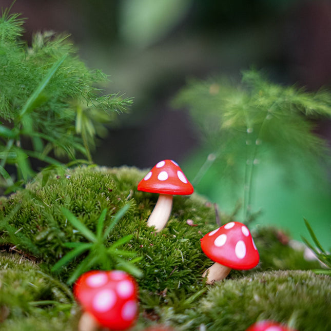 Toad Trail - Decorative Mini Mushrooms - Red - 10 Pcs - ↑ 2 Cm