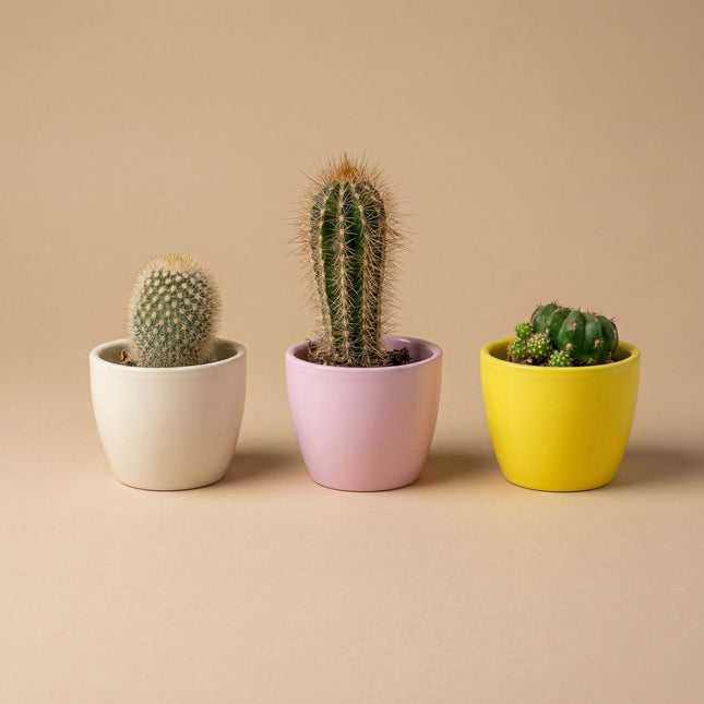 Pastellrosa - Mini Plant Pot - Boule Pot Light Pink - Ø 6 Cm ↑ 6 Cm