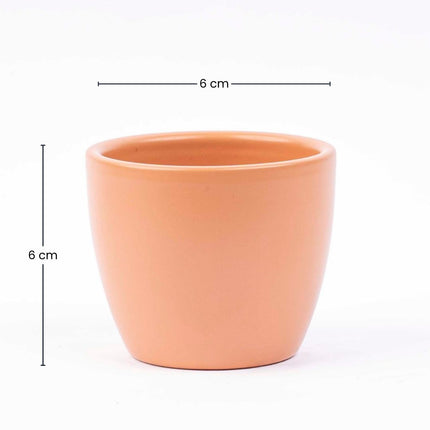 Toscana Matte - Mini Plant Pot - Boule Pot Terracotta - Ø 6 Cm ↑ 6 Cm