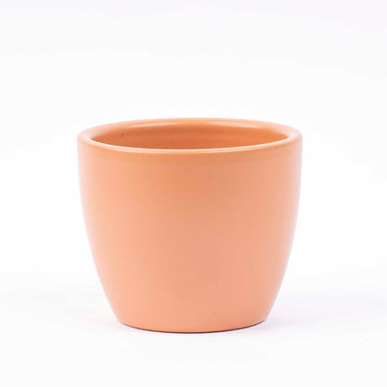 Toscana Matte - Mini Plant Pot - Boule Pot Terracotta - Ø 6 Cm ↑ 6 Cm