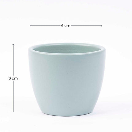 Urban Green Matte - Mini Plant Pot - Boule Pot Blue - Ø 6 Cm ↑ 6 Cm