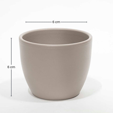 Steingrau Matt - Mini Plant Pot - Boule Pot Taupe - Ø 6 Cm ↑ 6 Cm