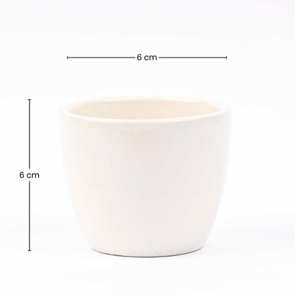Panna Gloss - Mini Plant Pot - Boule Pot White - Ø 6 Cm ↑ 6 Cm