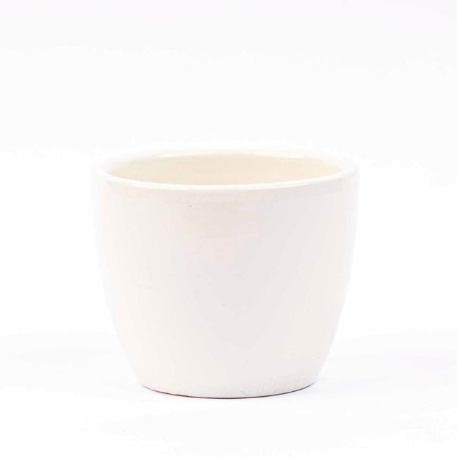 Panna Gloss - Mini Plant Pot - Boule Pot White - Ø 6 Cm ↑ 6 Cm