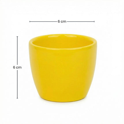 Lemon - Mini Plant Pot - Boule Pot Yellow - Ø 6 Cm ↑ 6 Cm