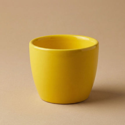 Lemon - Mini Plant Pot - Boule Pot Yellow - Ø 6 Cm ↑ 6 Cm