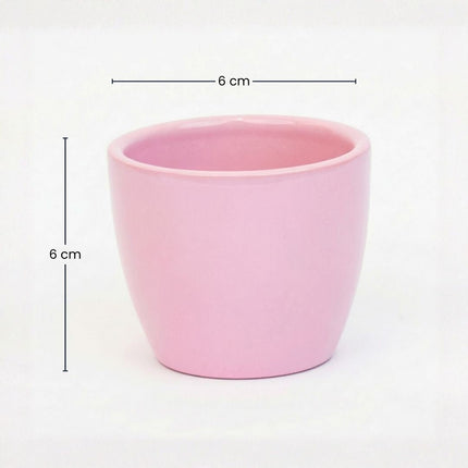 Pastellrosa - Mini Plant Pot - Boule Pot Light Pink - Ø 6 Cm ↑ 6 Cm
