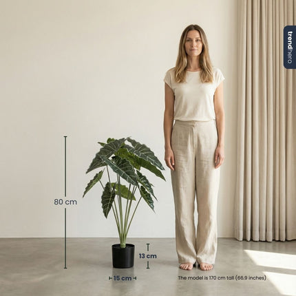Alocasia 80 Cm - Artificial Plant