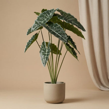 Alocasia 80 Cm - Artificial Plant