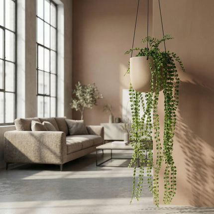 Artificial Ficus Pumila - Hanging Plant In Pot - 85 Cm