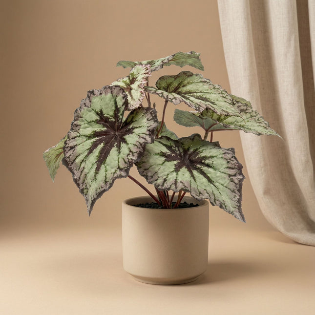 Begonia 26 Cm - Potted - Grey Purple Leaves - Artificial Plant - Uv - Indoor & Outdoor