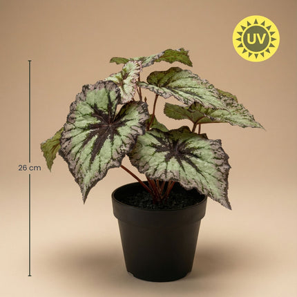 Begonia 26 Cm - Potted - Grey Purple Leaves - Artificial Plant - Uv - Indoor & Outdoor