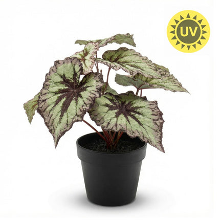 Begonia 26 Cm - Potted - Grey Purple Leaves - Artificial Plant - Uv - Indoor & Outdoor