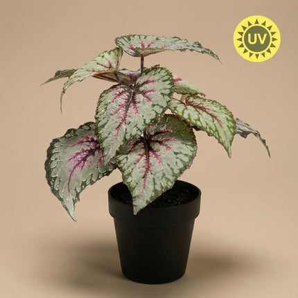 Begonia 26 Cm - Potted - Artificial Plant - Uv - Indoor & Outdoor