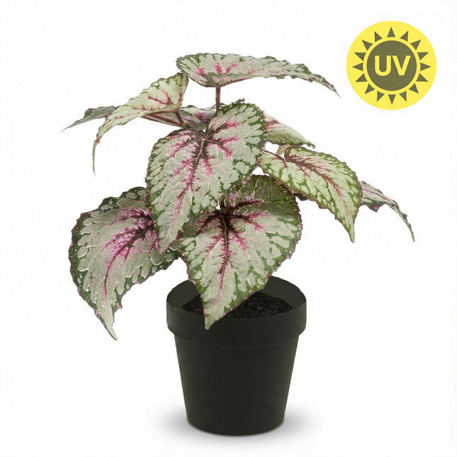 Begonia 26 Cm - Potted - Artificial Plant - Uv - Indoor & Outdoor
