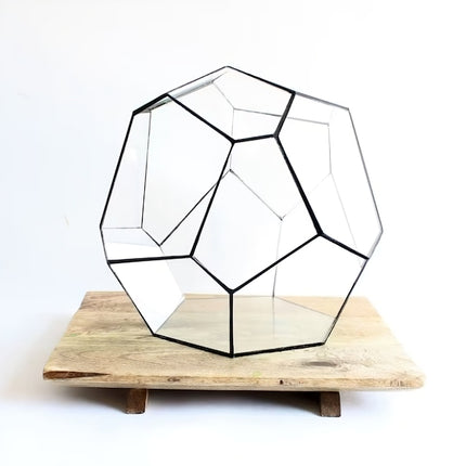 Geometric Terrarium - Cosmo - Vivarium - ↑ 31 X 29 X 29 Cm (Lxwxh) - Glass