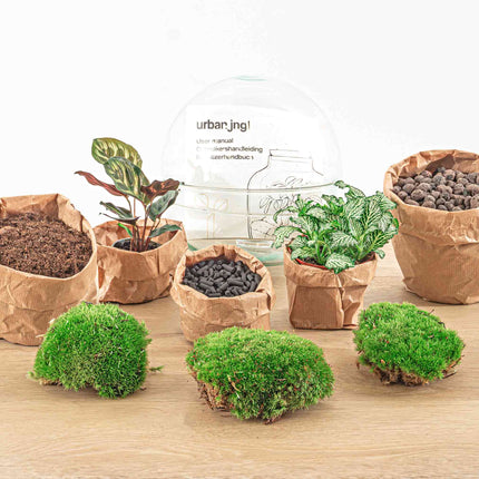 Terrarium Diy Kit - Dome - Bottle Garden - ↑ 20 Cm
