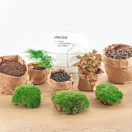 Terrarium Diy Kit - Dome Red - Bottle Garden - ↑ 20 Cm