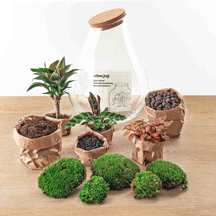 Terrarium Diy Kit - Drop Xl Palm - Bottle Garden - ↑ 37 Cm