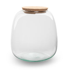 Terrarium Bottle ‘Emma Mini’ With Cork - Closed Terrarium Ø 19 Cm ↑ 20 Cm