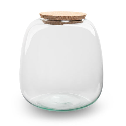Terrarium Bottle ‘Emma Mini’ With Cork - Closed Terrarium Ø 19 Cm ↑ 20 Cm