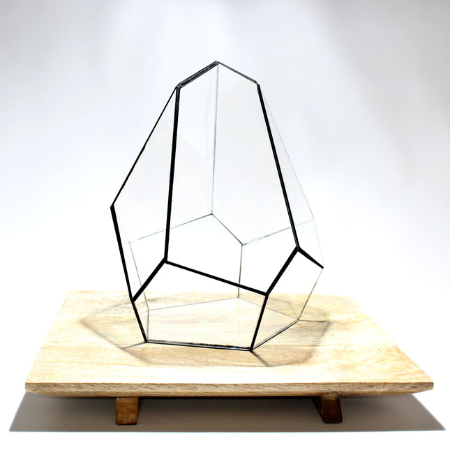 Geometric Terrarium - Jungle Gem - Vivarium - ↑ 16 X 15 X 19,5 Cm (Lxwxh) - Glass