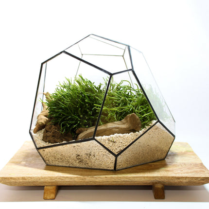Geometric Terrarium - Torno - Vivarium - ↑ 28 X 26 X 24 Cm (Lxwxh) - Glass