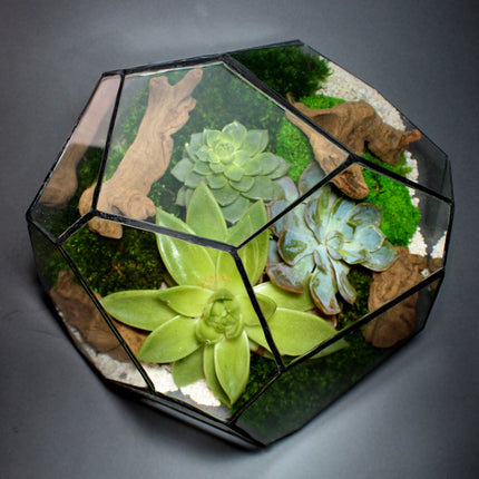 Geometric Terrarium - Torno - Vivarium - ↑ 28 X 26 X 24 Cm (Lxwxh) - Glass