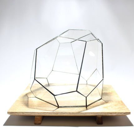 Geometric Terrarium - Torno - Vivarium - ↑ 28 X 26 X 24 Cm (Lxwxh) - Glass