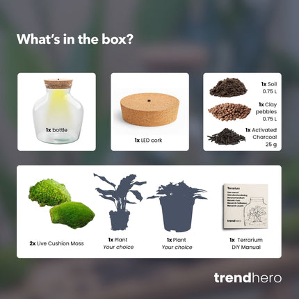 Little Joe - Terrarium With Light - Bottle Garden Diy Kit - Ø 20 Cm ↑ 22 Cm