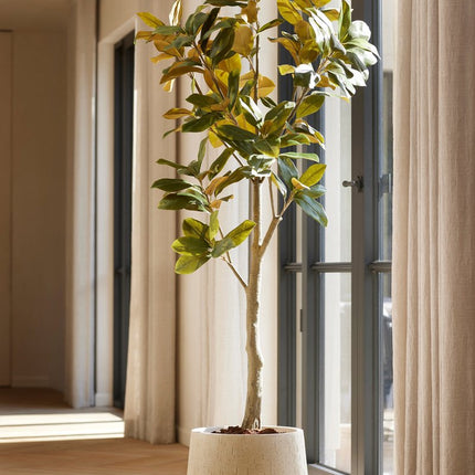 Magnolia Denudata - 150 Cm - Artificial Tree