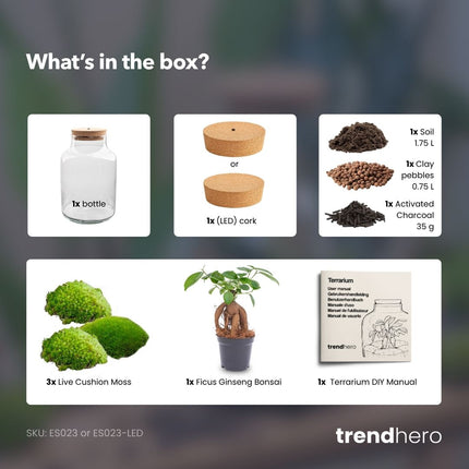 Milky Bonsai - Terrarium - Bottle Garden Diy Kit - Ø 21 Cm ↑ 30 Cm