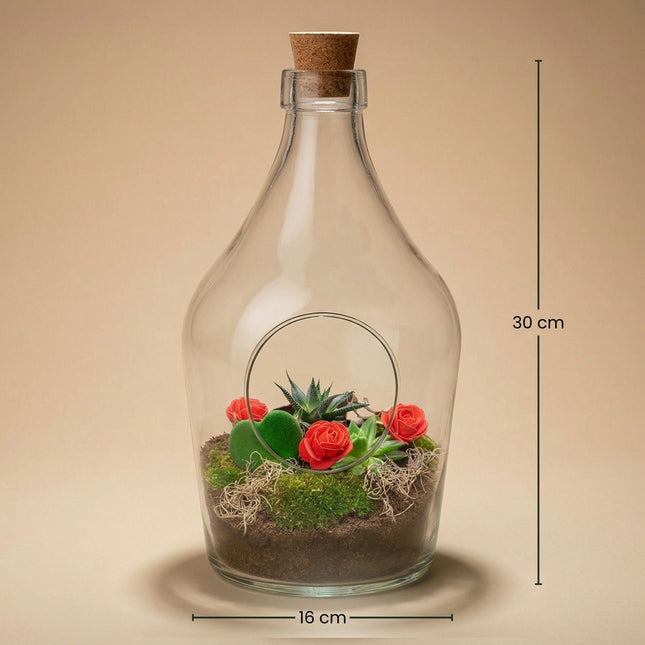 Love In A Bottle - Open Terrarium With Cork - Bottle Garden Diy Kit - Ø 16 Cm ↑ 30 Cm