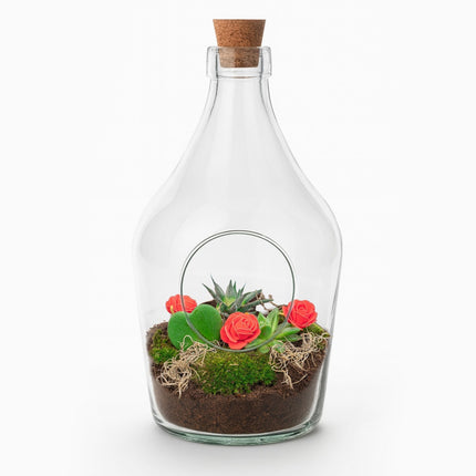 Love In A Bottle - Open Terrarium With Cork - Bottle Garden Diy Kit - Ø 16 Cm ↑ 30 Cm