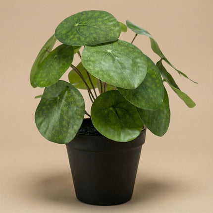 Pilea Bush 25 Cm In Black Pot - Artificial Plant