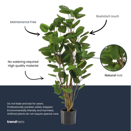Polyscias Tree - 105 Cm - Artificial Plant