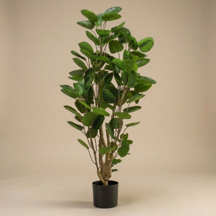 Polyscias Tree - 105 Cm - Artificial Plant