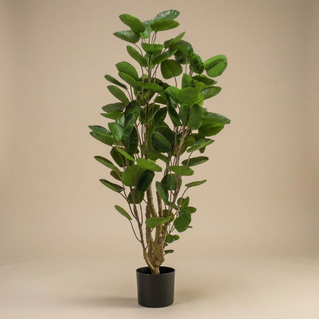 Polyscias Tree - 105 Cm - Artificial Plant