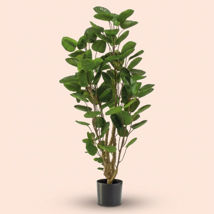 Polyscias Tree - 105 Cm - Artificial Plant