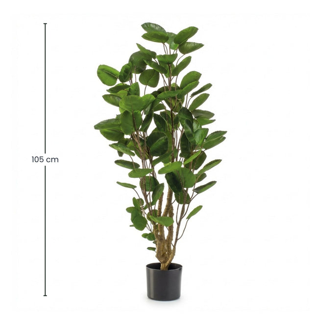 Polyscias Tree - 105 Cm - Artificial Plant