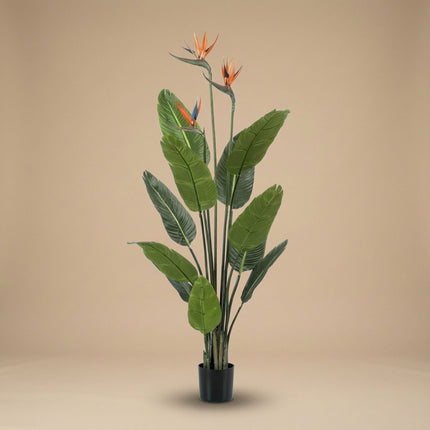Strelitzia With Flowers – 120 Cm – In Black Pot – Artificial Plant