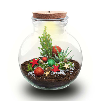 Jingle Christmas Terrarium - Bottle Garden Diy Kit - Ø 25 Cm ↑ 26,5 Cm