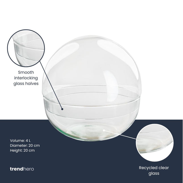 Terrarium Bottle ‘Dome’ – Two-Part Round Glass – Closed Terrarium Ø 20 Cm ↑ 20 Cm