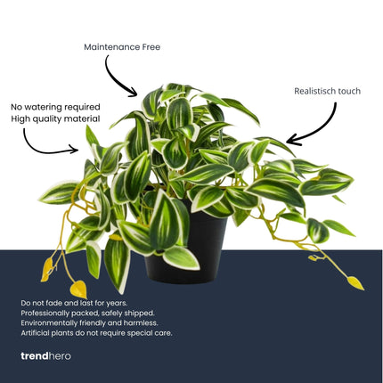 Tradescantia Green/White In Pot - 19 Cm - Artificial Plant