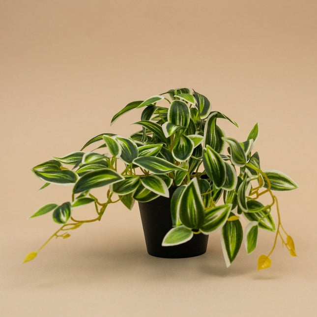 Tradescantia Green/White In Pot - 19 Cm - Artificial Plant