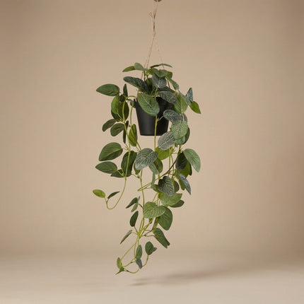 Artificial Fittonia - Hanging Plant In Pot - Green & White - 70 Cm