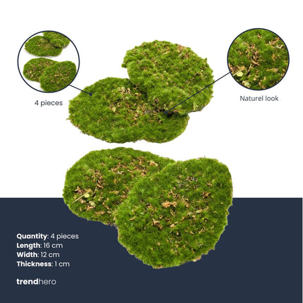 Moss Plate - Green Moss  – Set Of 4 - Artificial Moss