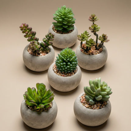 Artificial Mini Succulents In Cement Pot - Succulent Mix Set 6 - Ø 6.5
