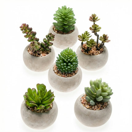 Artificial Mini Succulents In Cement Pot - Succulent Mix Set 6 - Ø 6.5